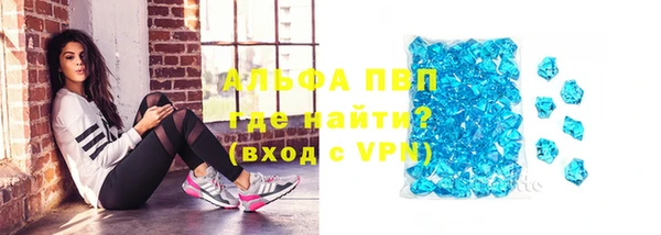 таблы Бородино