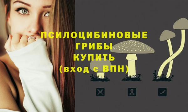 Альфа ПВП Инта
