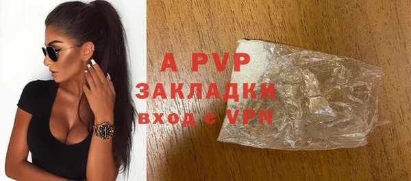 таблы Бородино