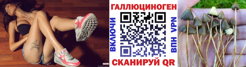 Галлюциногенные грибы Psilocybine cubensis  купить  сайты  Кстово 
