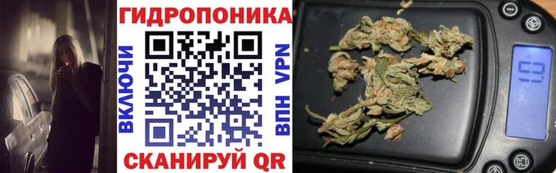 MEGA вход  Кстово  Конопля марихуана 